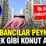 Ilk 5 ayin rekoru kirildi yabancilar peynir ekmek gibi konut almis Fd6S4dF7